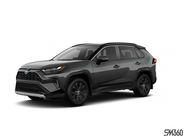 Toyota RAV4 gris